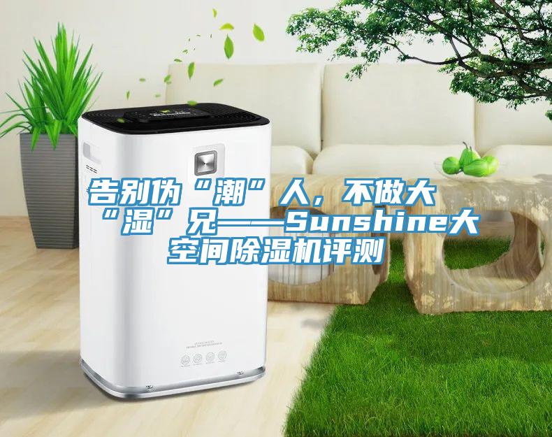 告別偽“潮”人，不做大“濕”兄——Sunshine大空間除濕機(jī)評測