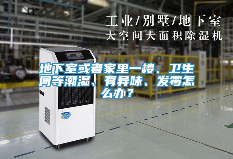 地下室或者家里一樓、衛(wèi)生間等潮濕、有異味、發(fā)霉怎么辦？