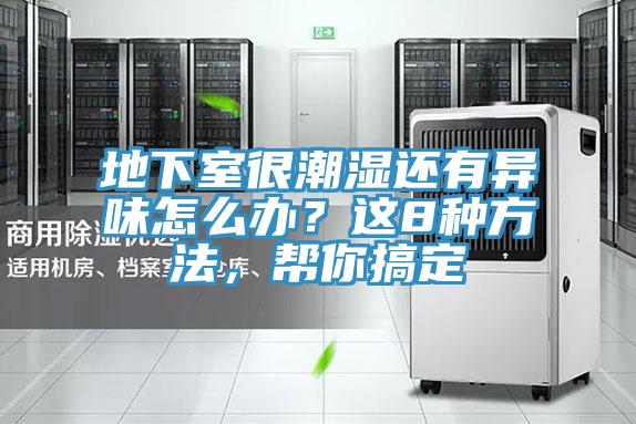 地下室很潮濕還有異味怎么辦？這8種方法，幫你搞定
