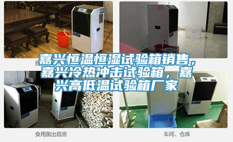 嘉興恒溫恒濕試驗箱銷售，嘉興冷熱沖擊試驗箱，嘉興高低溫試驗箱廠家