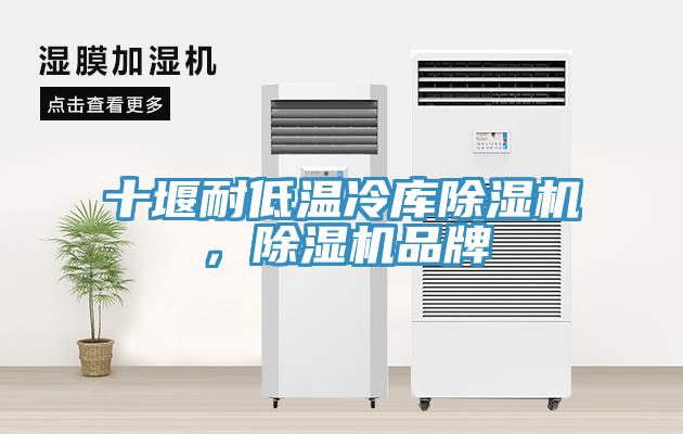 十堰耐低溫冷庫除濕機，除濕機品牌