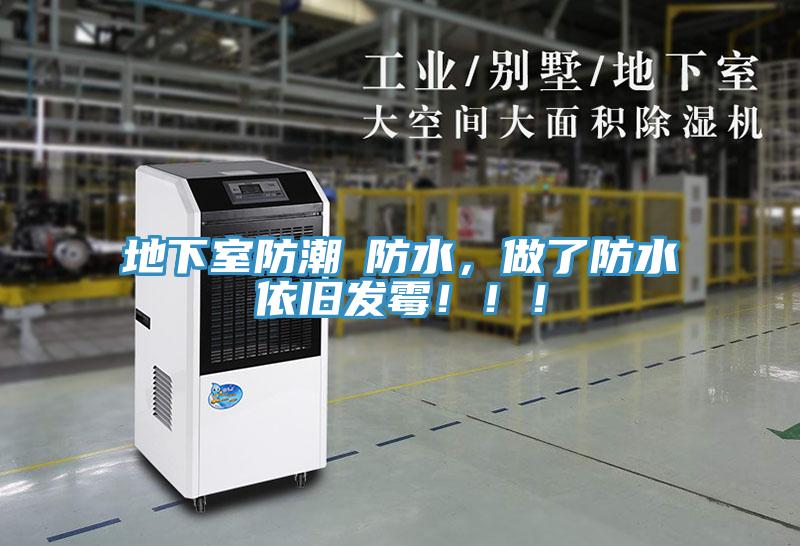 地下室防潮≠防水，做了防水依舊發(fā)霉?。?！