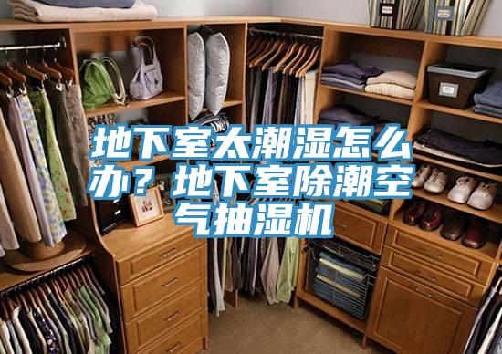 地下室太潮濕怎么辦？地下室除潮空氣抽濕機(jī)
