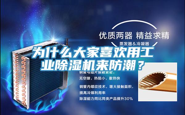 為什么大家喜歡用工業(yè)除濕機(jī)來防潮？