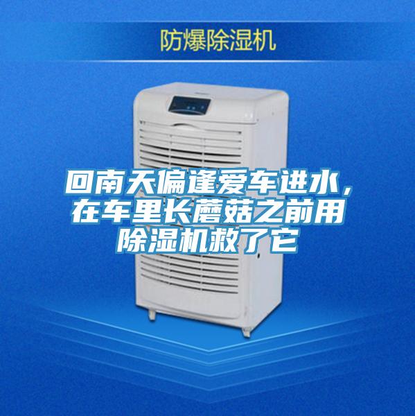 回南天偏逢愛車進(jìn)水，在車?yán)镩L蘑菇之前用除濕機(jī)救了它