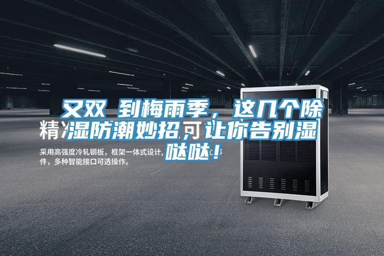 又雙叒到梅雨季，這幾個除濕防潮妙招，讓你告別濕噠噠！