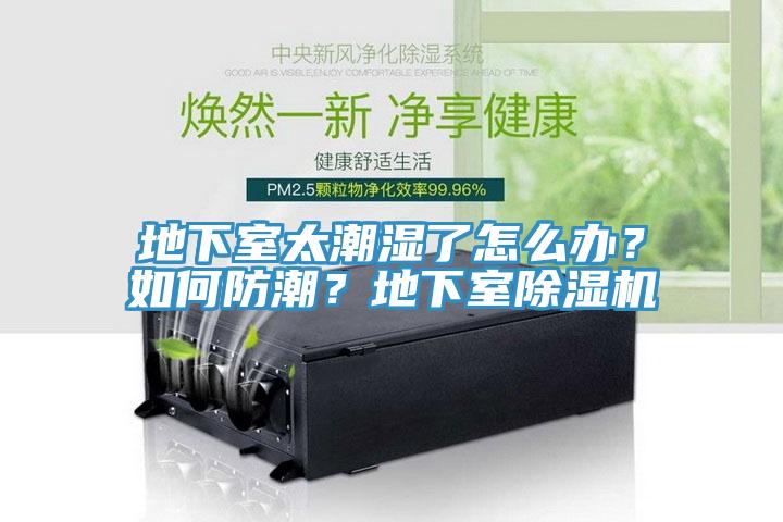 地下室太潮濕了怎么辦？如何防潮？地下室除濕機(jī)