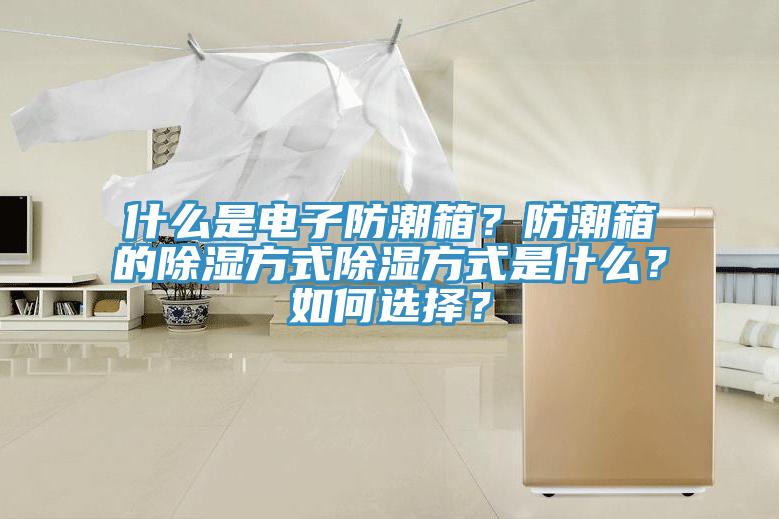 什么是電子防潮箱？防潮箱的除濕方式除濕方式是什么？如何選擇？