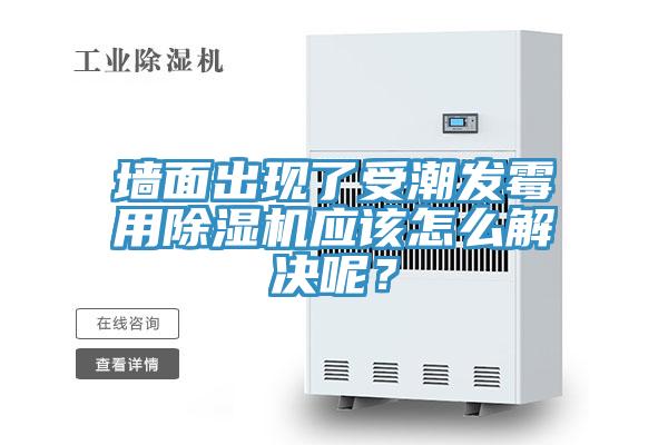 墻面出現(xiàn)了受潮發(fā)霉用除濕機(jī)應(yīng)該怎么解決呢？
