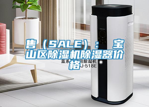 售(SALE): 寶山區(qū)除濕機(jī)除濕器價格