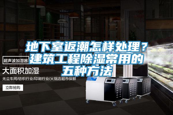 地下室返潮怎樣處理？建筑工程除濕常用的五種方法