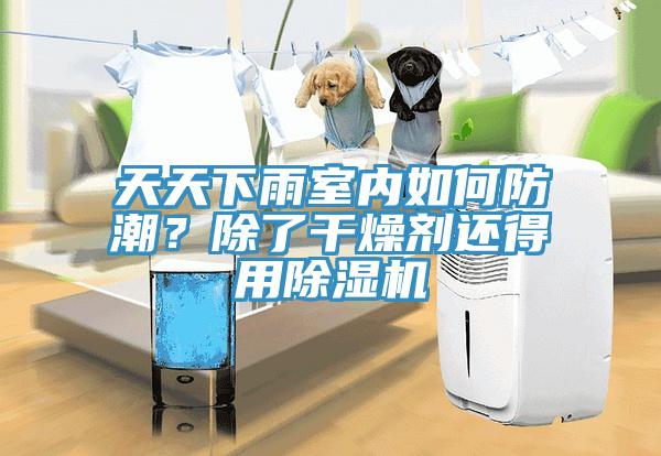 天天下雨室內(nèi)如何防潮？除了干燥劑還得用除濕機(jī)