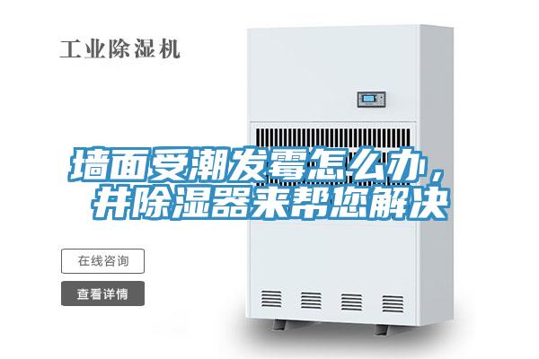 墻面受潮發(fā)霉怎么辦，東井除濕器來幫您解決