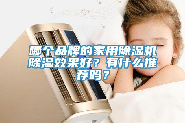哪個品牌的家用除濕機除濕效果好？有什么推薦嗎？