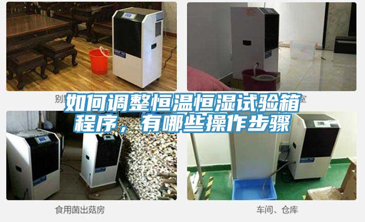如何調(diào)整恒溫恒濕試驗(yàn)箱程序，有哪些操作步驟