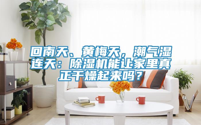 回南天、黃梅天，潮氣濕連天：除濕機(jī)能讓家里真正干燥起來嗎？