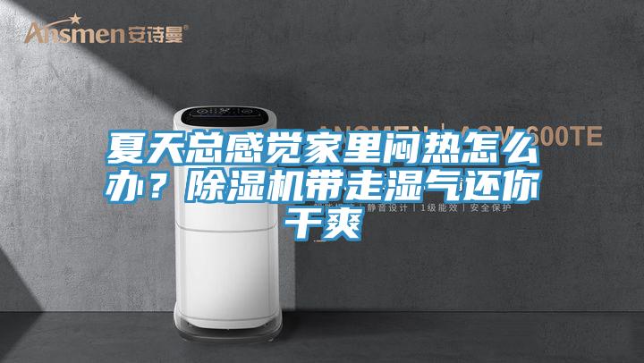 夏天總感覺家里悶熱怎么辦？除濕機帶走濕氣還你干爽