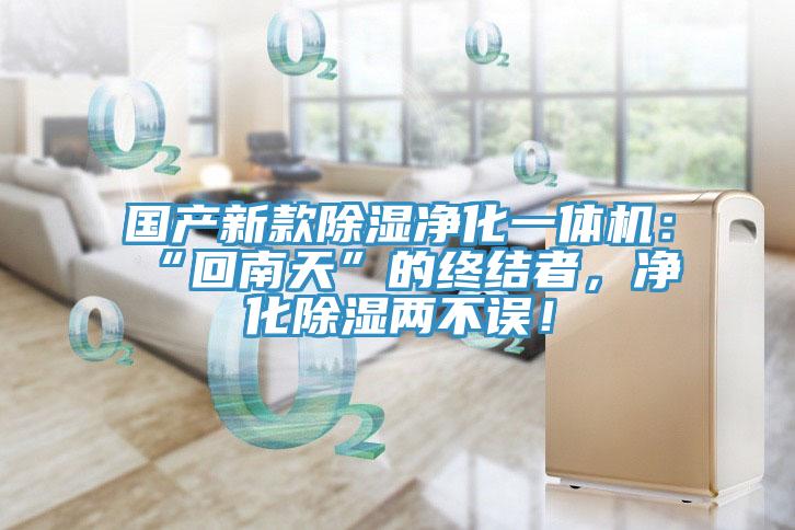 國(guó)產(chǎn)新款除濕凈化一體機(jī)：“回南天”的終結(jié)者，凈化除濕兩不誤！