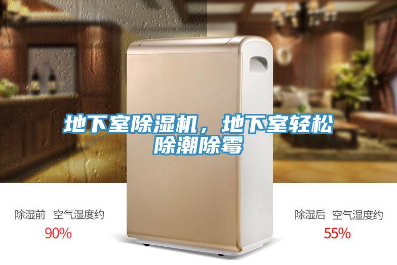 地下室除濕機，地下室輕松除潮除霉