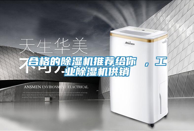 合格的除濕機(jī)推薦給你 ，工業(yè)除濕機(jī)供銷
