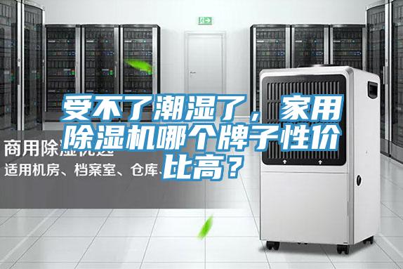受不了潮濕了，家用除濕機哪個牌子性價比高？