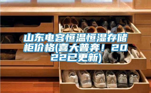 山東電容恒溫恒濕存儲(chǔ)柜價(jià)格(喜大普奔！2022已更新)