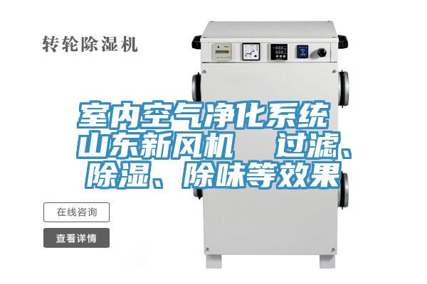 室內(nèi)空氣凈化系統(tǒng) 山東新風(fēng)機(jī)  過濾、除濕、除味等效果