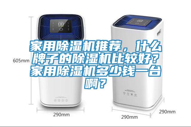 家用除濕機(jī)推薦，什么牌子的除濕機(jī)比較好？家用除濕機(jī)多少錢一臺啊？