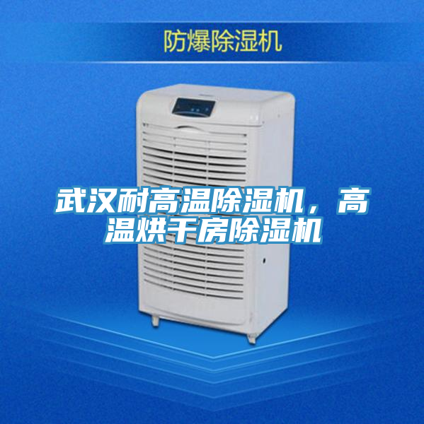 武漢耐高溫除濕機，高溫烘干房除濕機