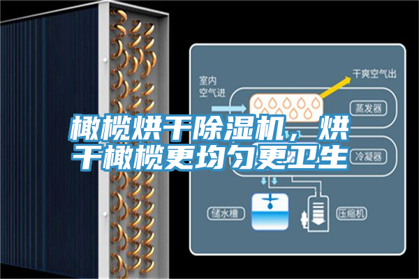 橄欖烘干除濕機(jī)，烘干橄欖更均勻更衛(wèi)生