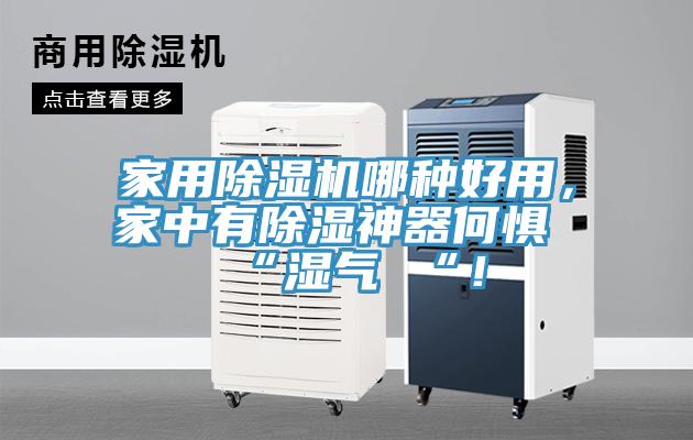 家用除濕機哪種好用，家中有除濕神器何懼 “濕氣 “！