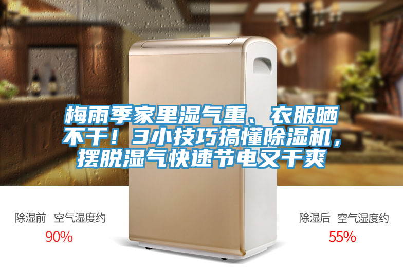 梅雨季家里濕氣重、衣服曬不干！3小技巧搞懂除濕機，擺脫濕氣快速節(jié)電又干爽