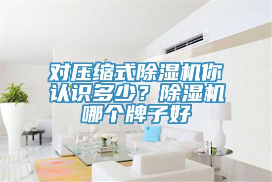 對壓縮式除濕機你認識多少？除濕機哪個牌子好