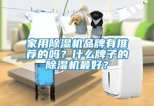 家用除濕機品牌有推薦的嗎？什么牌子的除濕機最好？