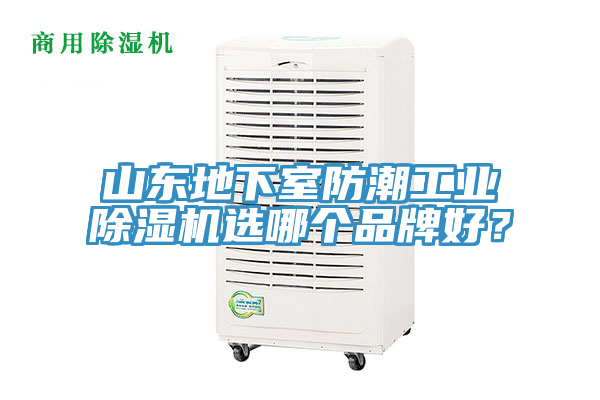 山東地下室防潮工業(yè)除濕機(jī)選哪個(gè)品牌好？
