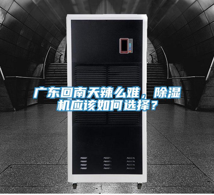 廣東回南天辣么難，除濕機應該如何選擇？