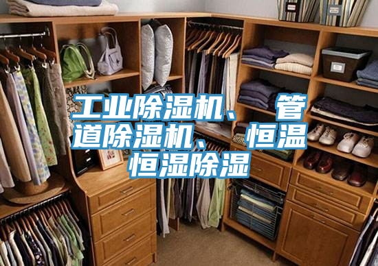 工業(yè)除濕機、 管道除濕機、 恒溫恒濕除濕