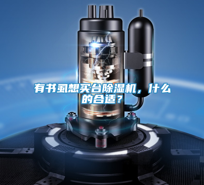 有書虱想買臺除濕機，什么的合適？