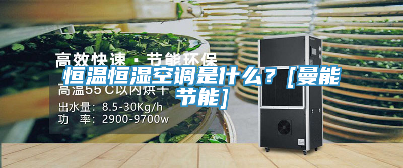 恒溫恒濕空調(diào)是什么？[曼能節(jié)能]