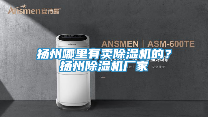 揚州哪里有賣除濕機的？揚州除濕機廠家