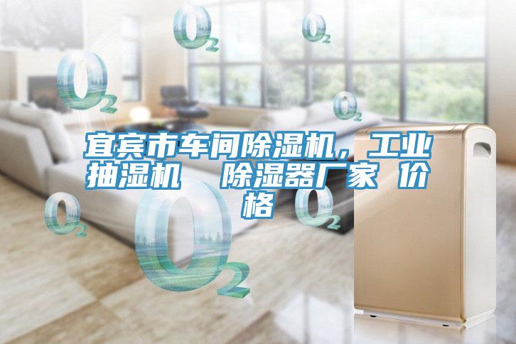 宜賓市車間除濕機(jī)，工業(yè)抽濕機(jī)  除濕器廠家 價(jià)格