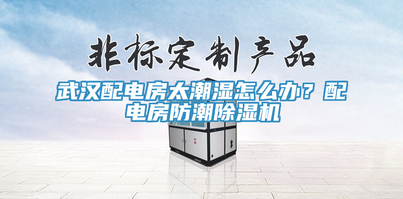 武漢配電房太潮濕怎么辦？配電房防潮除濕機