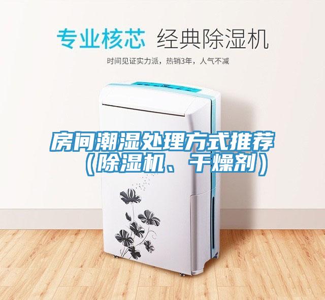 房間潮濕處理方式推薦（除濕機、干燥劑）