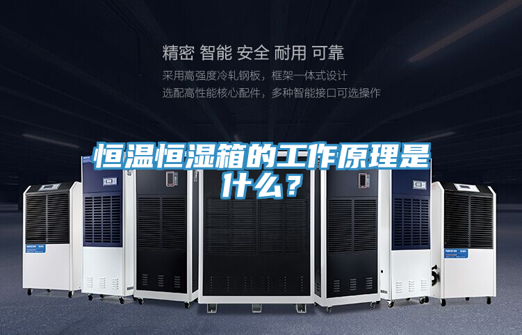 恒溫恒濕箱的工作原理是什么？