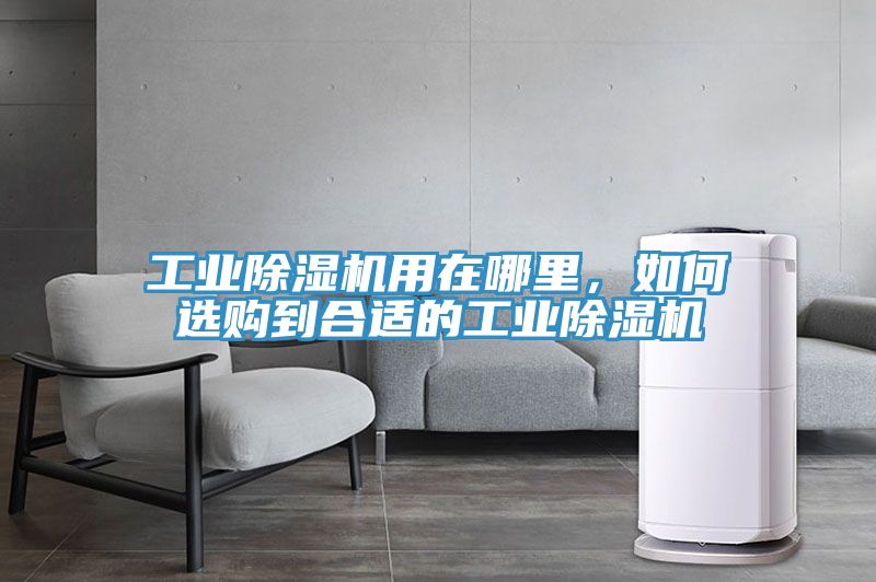 工業(yè)除濕機用在哪里，如何選購到合適的工業(yè)除濕機