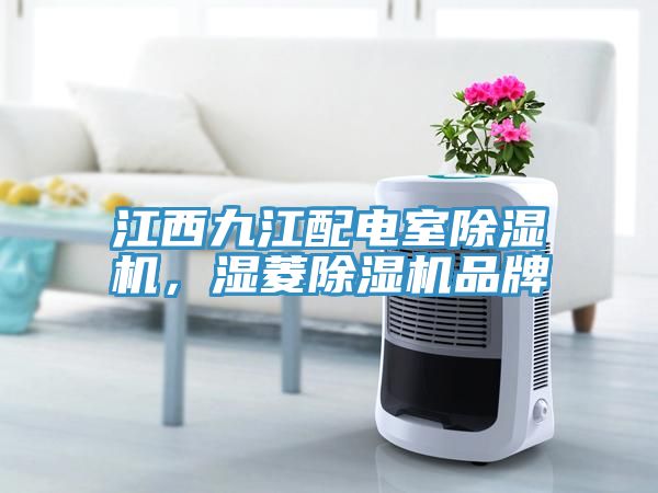 江西九江配電室除濕機(jī)，濕菱除濕機(jī)品牌