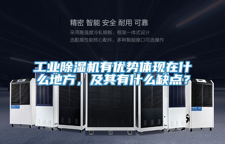工業(yè)除濕機有優(yōu)勢體現(xiàn)在什么地方，及其有什么缺點？
