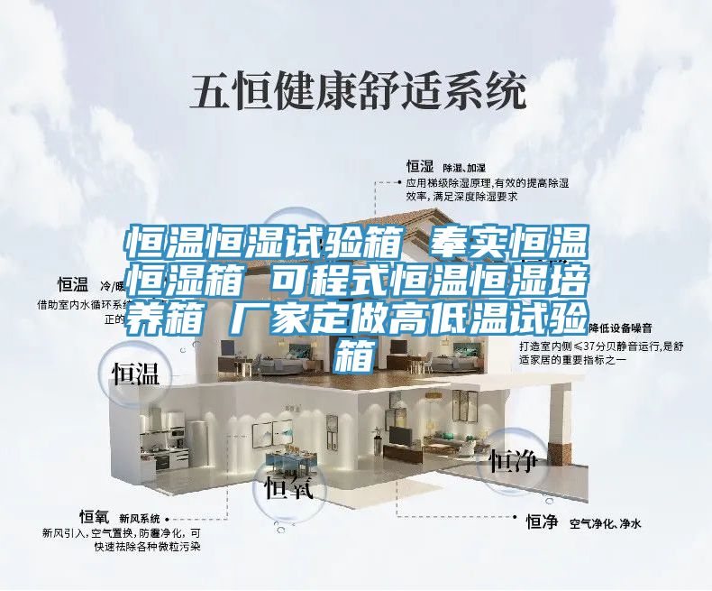 恒溫恒濕試驗(yàn)箱 奉實(shí)恒溫恒濕箱 可程式恒溫恒濕培養(yǎng)箱 廠(chǎng)家定做高低溫試驗(yàn)箱