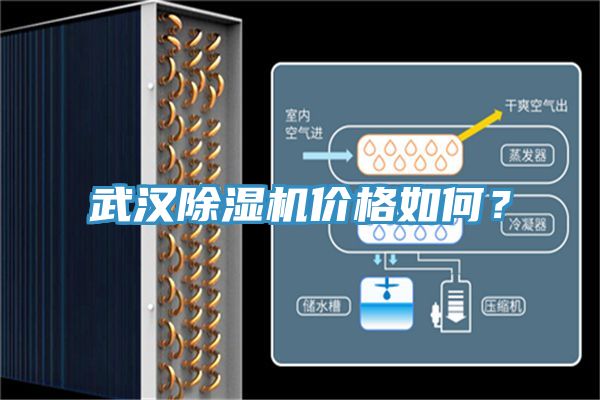 武漢除濕機(jī)價格如何？