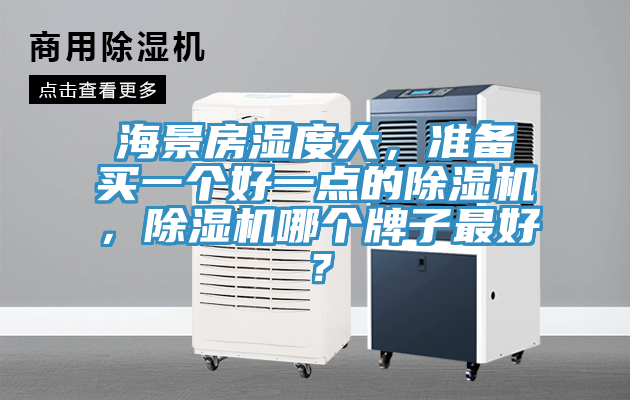 海景房濕度大，準(zhǔn)備買(mǎi)一個(gè)好一點(diǎn)的除濕機(jī)，除濕機(jī)哪個(gè)牌子最好？